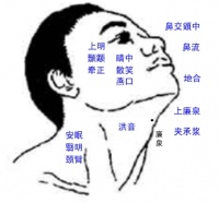 廉泉穴