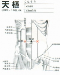 天枢穴
