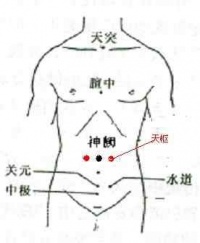 天枢穴