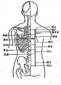 附分穴