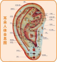 穴位