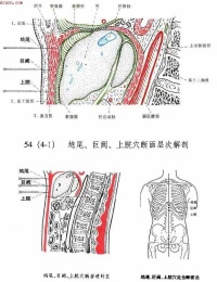鸠尾穴