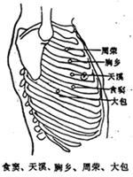 食窦穴