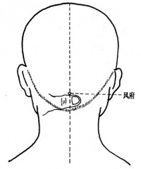 风府穴