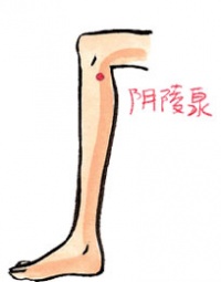 阴陵泉穴