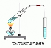 乙酸乙酯