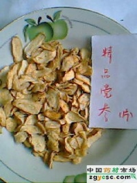 明党参