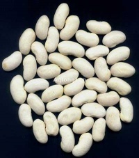 白扁豆