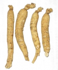 白参