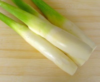 茭白